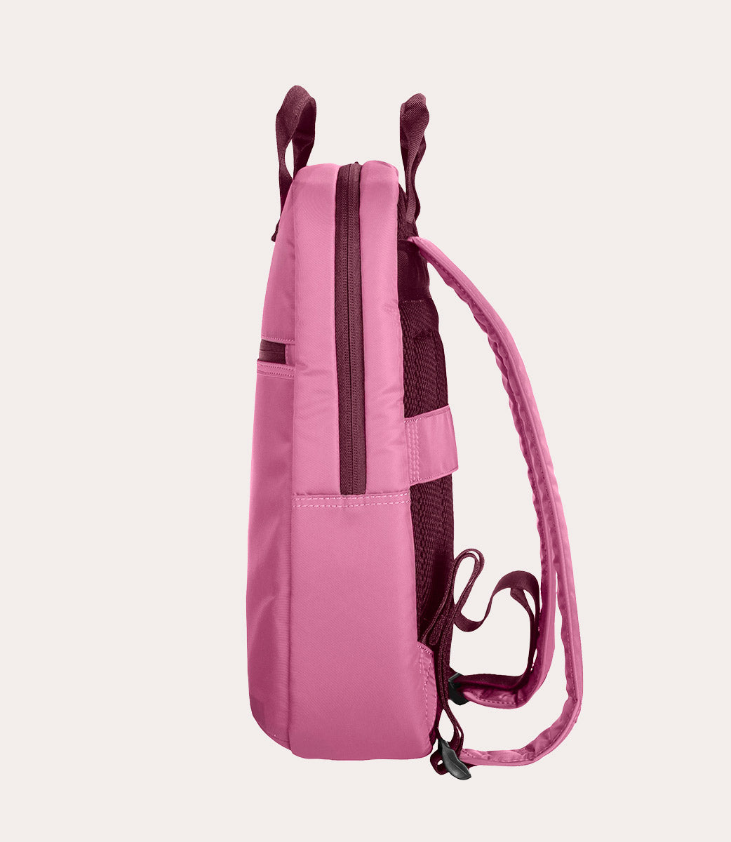 Lux Rosa, immagine 22