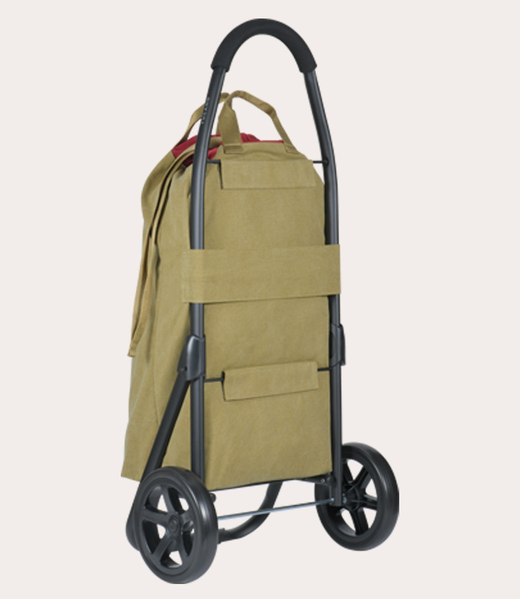 Carry Shopping trolley