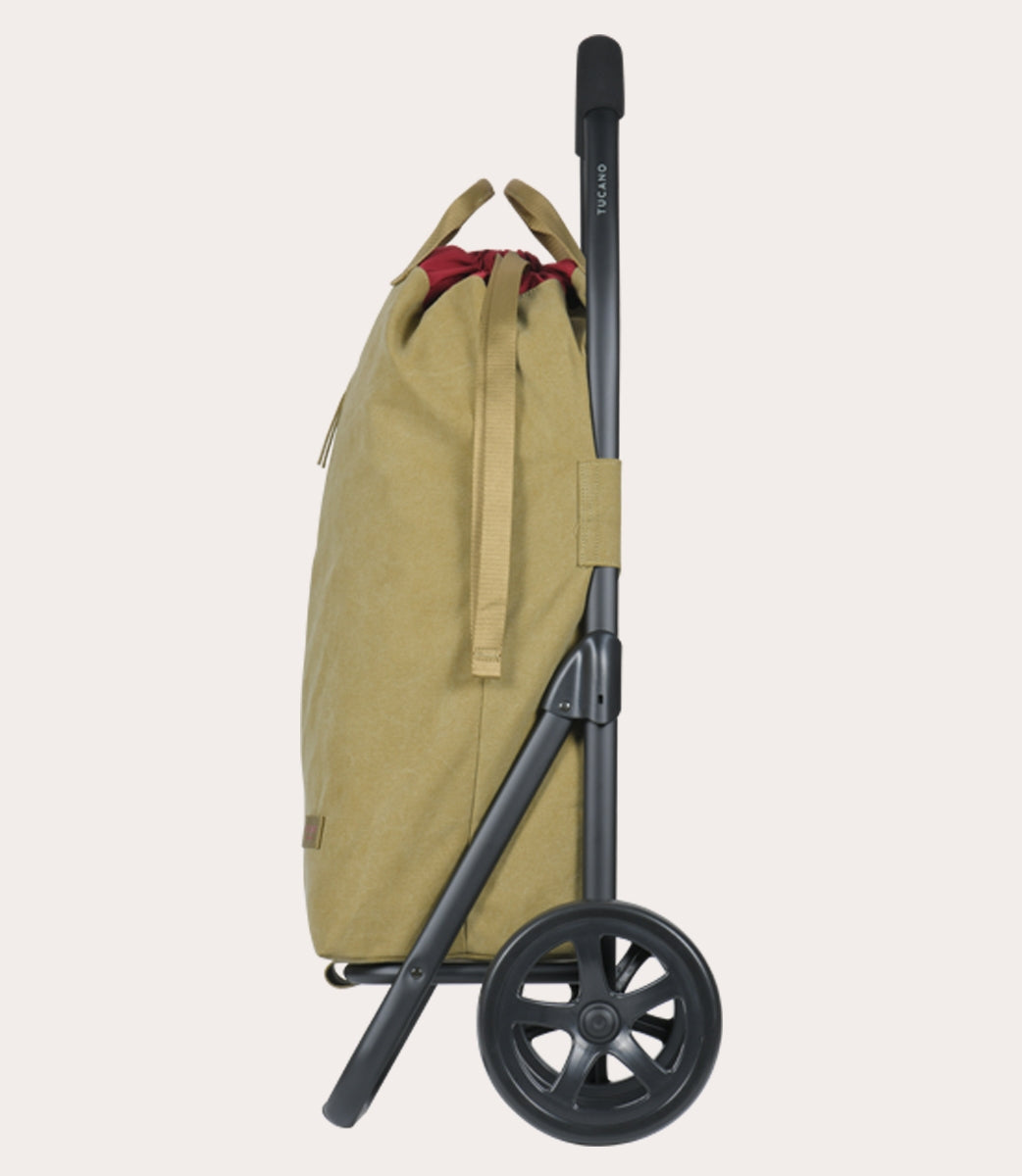 Carry Shopping trolley