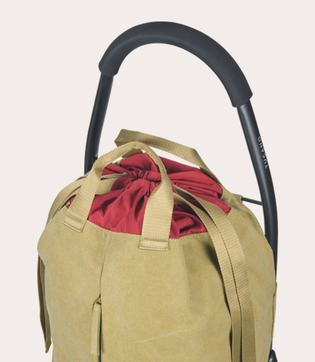 Carry Shopping trolley