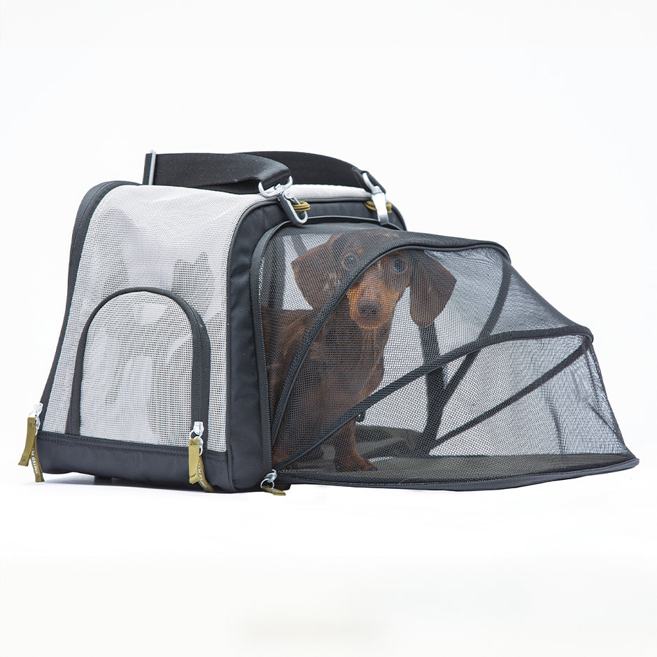 United Pets & Tucano