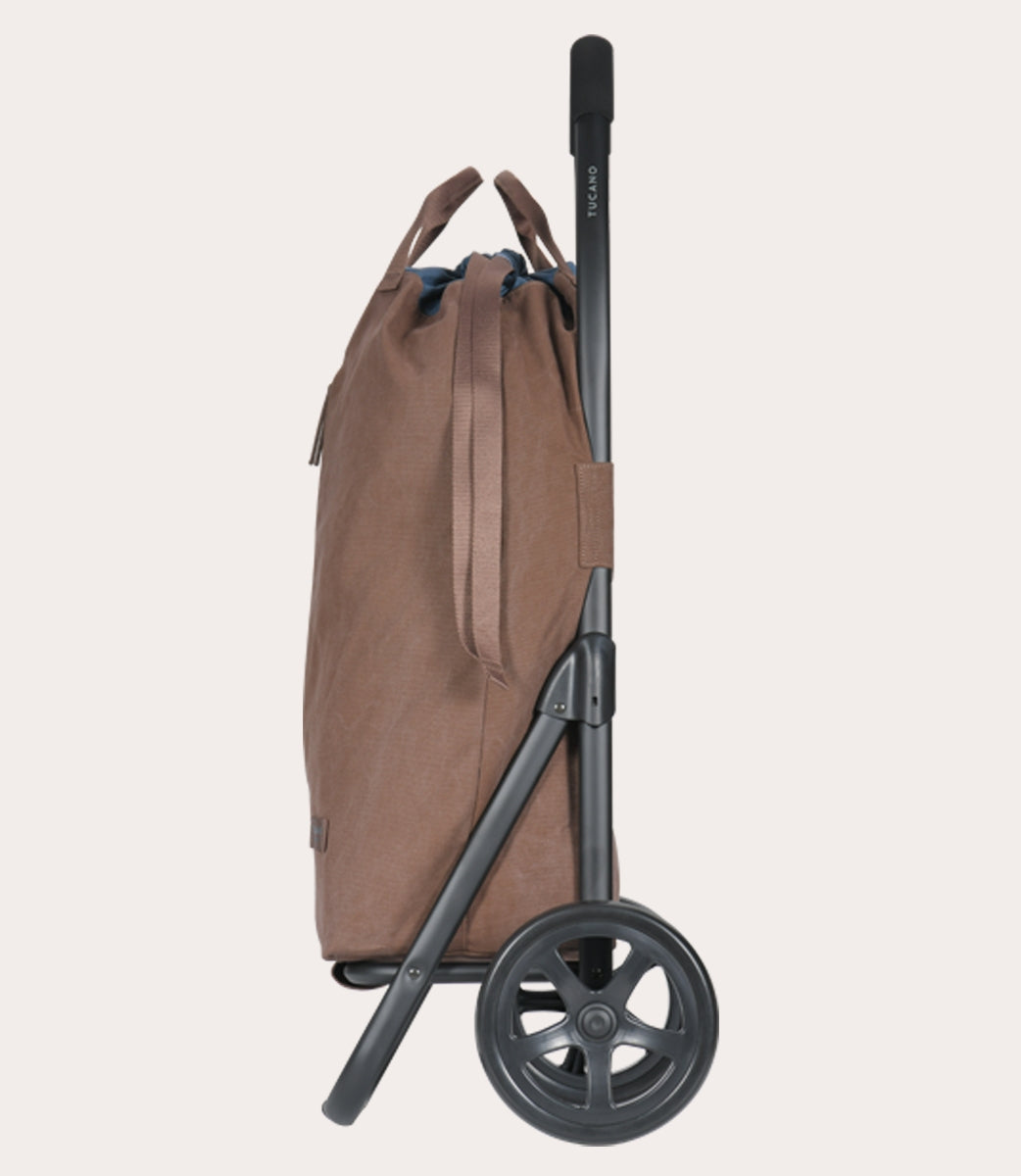 Carry Shopping trolley