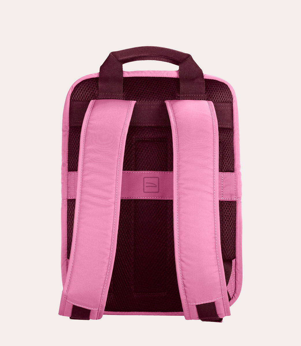 Lux Rosa, immagine 21