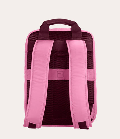 Lux Rosa, immagine 21