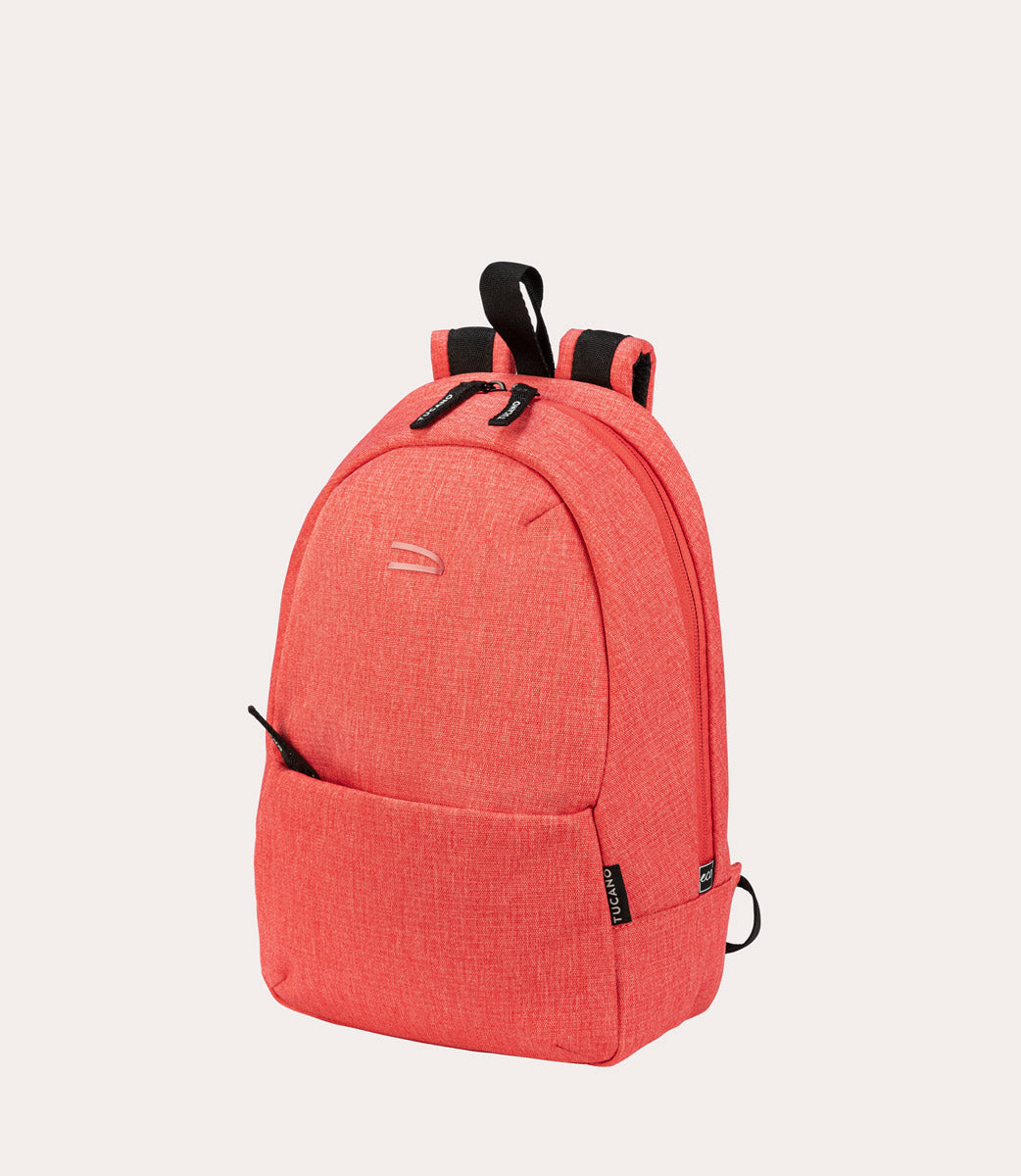 Ted 11", vista posteriore