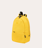 Ted 11" Giallo, vista posteriore