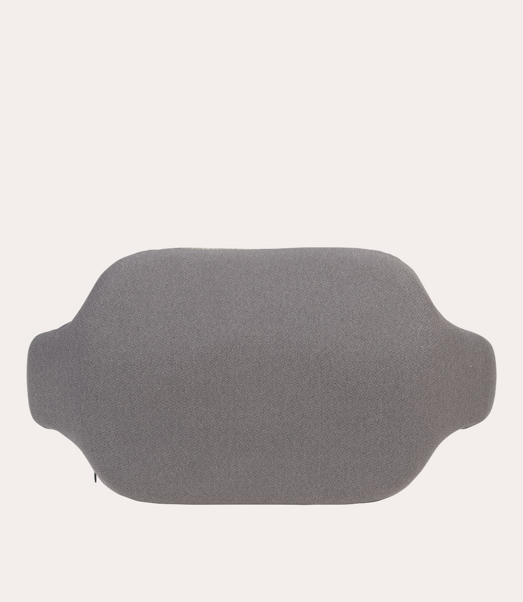 Staidritto Grigio, vista frontale