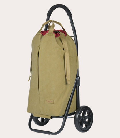 Carry Shopping trolley