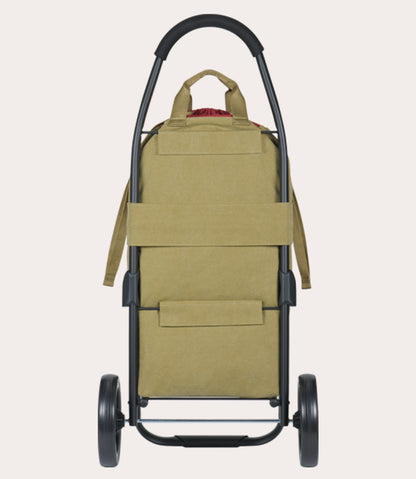 Carry Shopping trolley