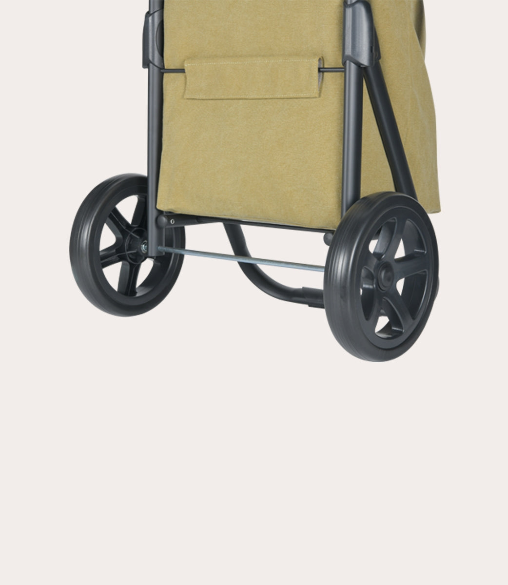 Carry Shopping trolley