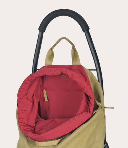 Carry Shopping trolley